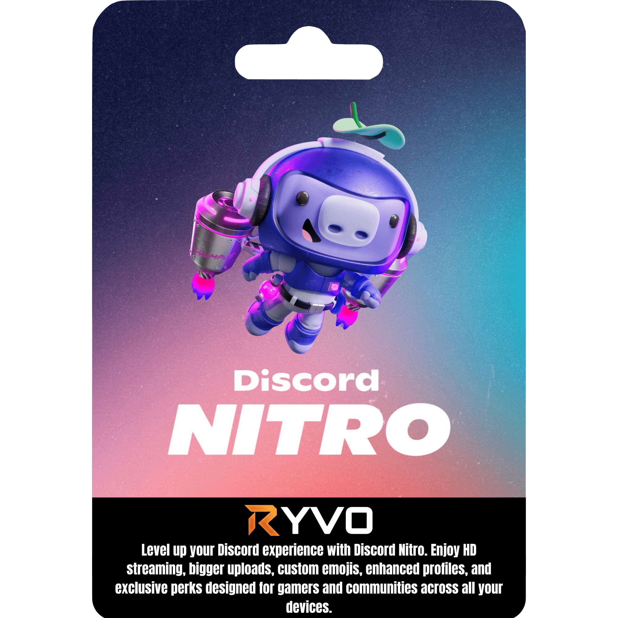 Discord Nitro Subscription cover art
